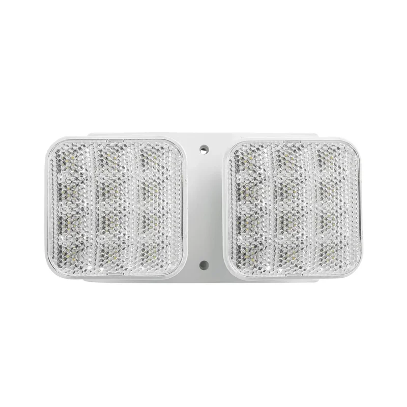 beeslighting32689905