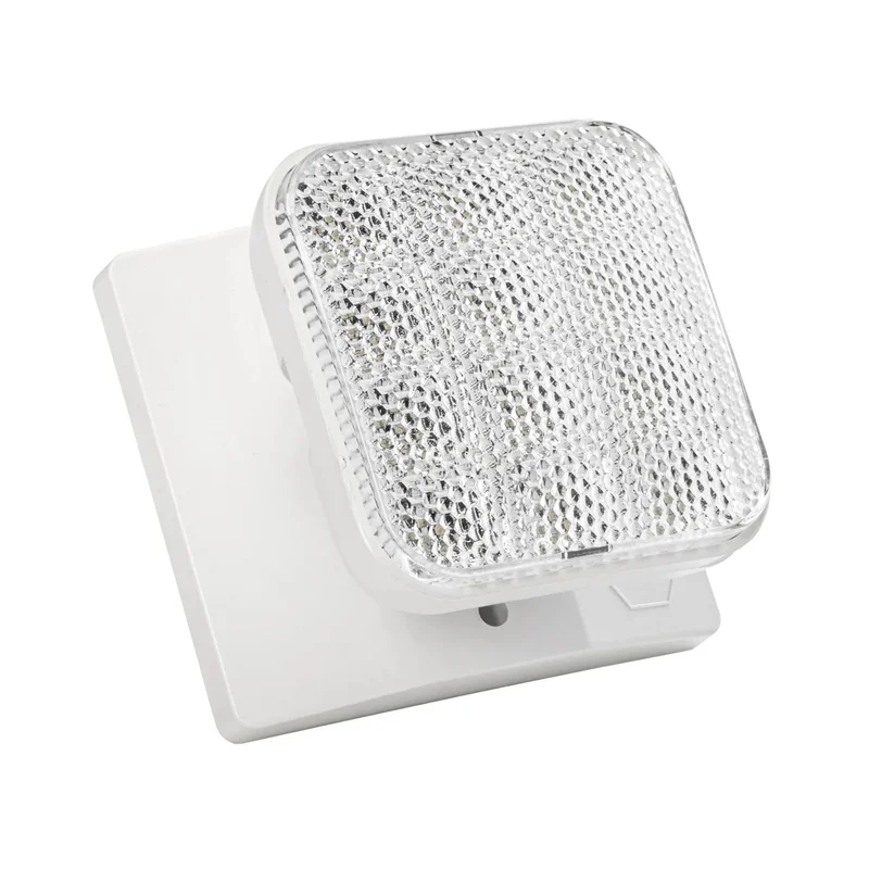 beeslighting32689910