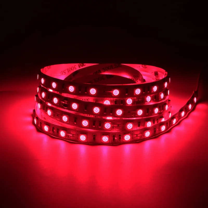ledlightsworld2466720