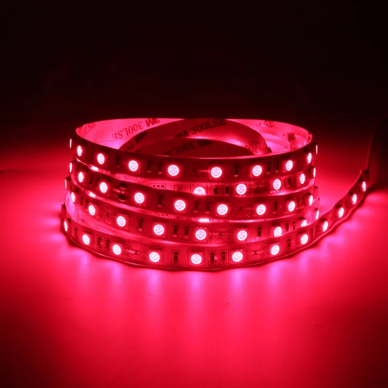 ledlightsworld2466758