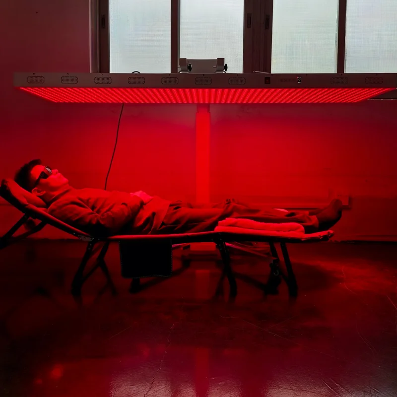 ledlightsworld2498305