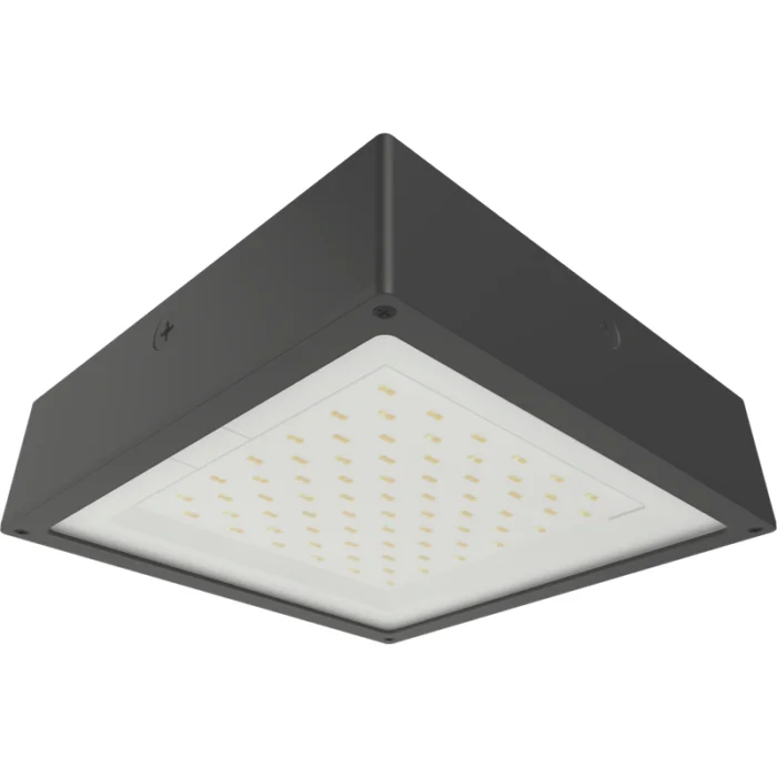 prolighting2-2707057