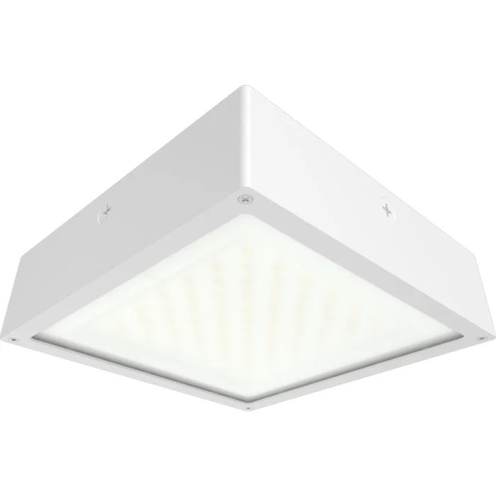 prolighting2-2707182