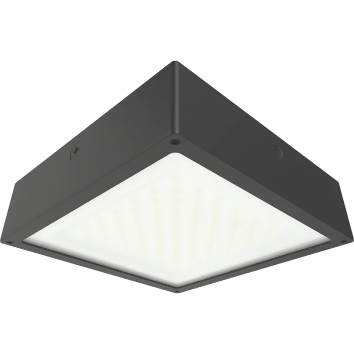 prolighting2-2707262