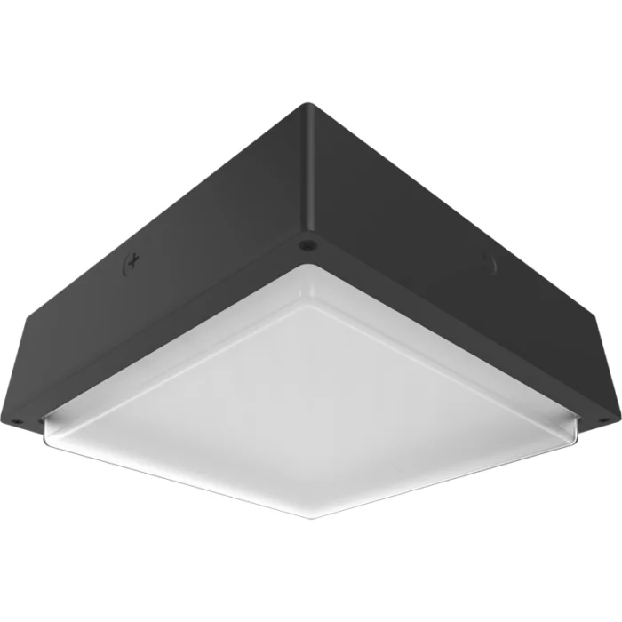 prolighting2-2707278