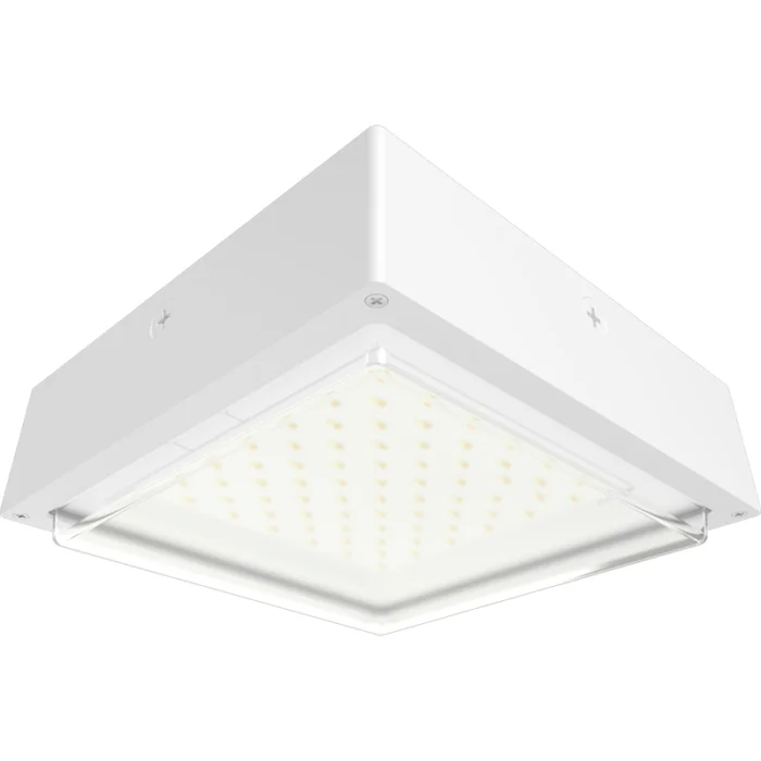 prolighting2-2707319