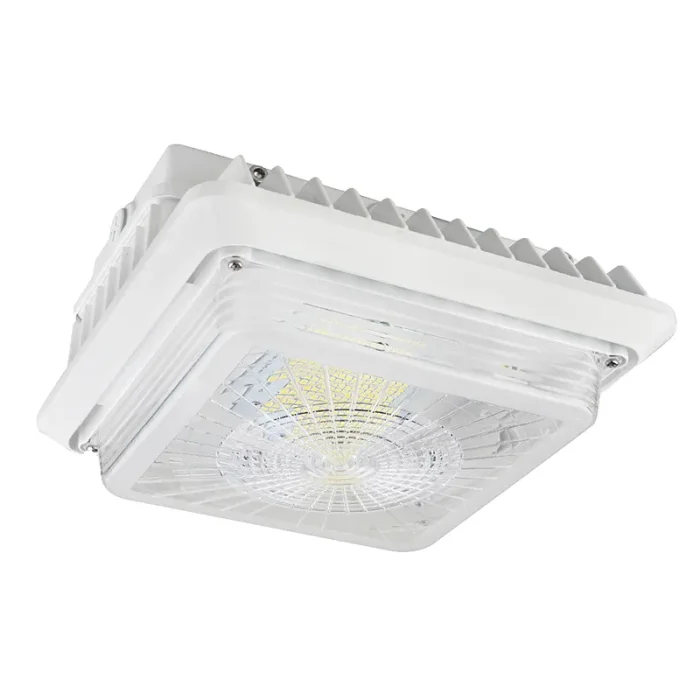 prolighting2-2751947